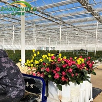 Système hydroponique de culture de roses, serre agricole avec structure en acier galvanisé