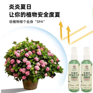 Solución de Nutrientes Vegetales Concentrada Eight Old Men, Spray de 100 ml para Plantas en Maceta y Flores - Product Image 4