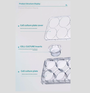 <span class=keywords><strong>Chambre</strong></span> <span class=keywords><strong>de</strong></span> <span class=keywords><strong>culture</strong></span> cellulaire - Membrane en polycarbonate PC, Membrane en polyester PET, Bassin <span class=keywords><strong>de</strong></span> <span class=keywords><strong>culture</strong></span> cellulaire - <span class=keywords><strong>Chambre</strong></span> <span class=keywords><strong>de</strong></span> <span class=keywords><strong>culture</strong></span> cellulaire adhérente TC - Product Image 4
