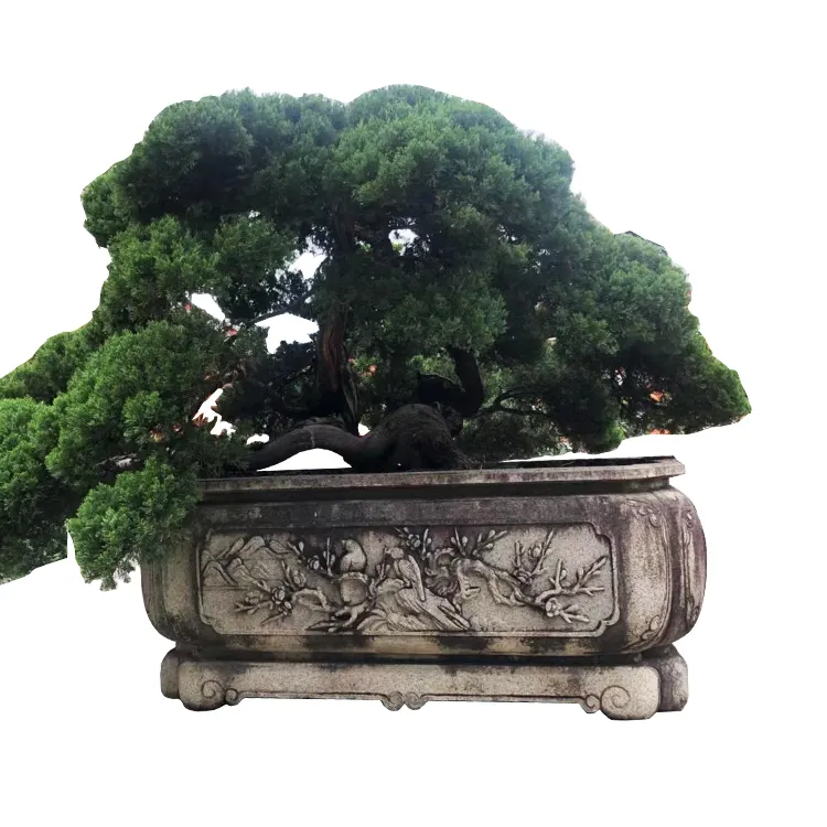 Tuin Ingemaakte Landschap Natuursteen Potten Grote Decoratieve Potplant Bonsai Retro Kom Antieke Stenen Boom Plantenbakken