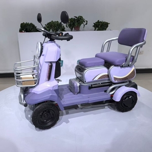 Triciclo <span class=keywords><strong>El</strong></span>éctrico de 800W con Función de Parada Automática de Alta Seguridad y Liberación Manual, Voltaje Universal, para Compras Diarias en <span class=keywords><strong>el</strong></span> Vecindario - Product Image 3