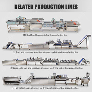 Machine industrielle de séchage des fruits et légumes, élimination de l'eau, traitement des fruits et légumes, sécheuse de fruits et légumes - Product Image 6
