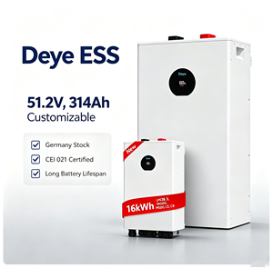 Entrega Rápida, Stock en la UE, Envío DDP, Batería Deye SE‑F16 16kWh 314Ah 51.2V LiFePO4, Instalación en Pared/Suelo para Energía Solar Doméstica - Product Image 1