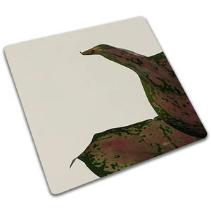 光沢のある316ステンレス鋼板エレベーターパネルミラー仕上げステンレス鋼板 - Product Image 4