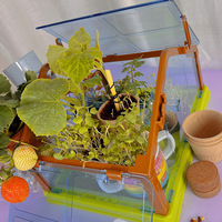 Enfant enfants jardin bricolage Kit de culture Mini serre arbre plante bonsaï Kit de démarrage pour les enfants