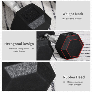 Bán buôn mancuernas thiết bị tập thể dục 20kg unisex polybag + CTN + quả tạ bằng gỗ đặt 40kg 50kg 25kg cao su Hex dumbells Set tập thể dục - Product Image 3