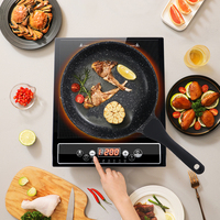 Plaque de cuisson électrique en céramique WINNING STAR ST-9784, plaque de cuisson à induction pour usage commercial