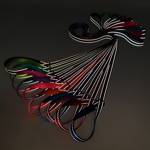 Fabricant direct personnalisé <span class=keywords><strong>antivol</strong></span> réglable en nylon tressé P chaîne solide Slip Dog Show laisses rubans réfléchissants <span class=keywords><strong>pour</strong></span> la formation - Product Image 5