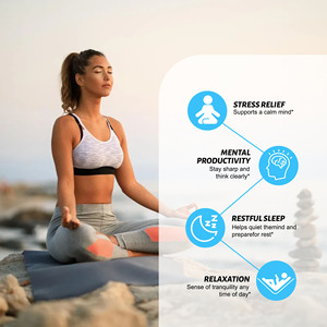 Cápsulas Blandas de Cafeína y L-Teanina con Logotipo Personalizado, Suplemento para Dormir Hecho con Aceite MCT, Favorece la Calma Mental, para Adultos - Product Image 4