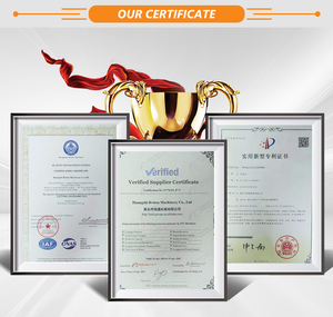 Con Dấu Trọn Đời Của Máy Xúc VOE <span class=keywords><strong>15175856</strong></span> Con Dấu Kép Nổi Cho EC460 - Product Image 4