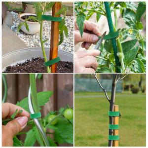 Reusable and Adjustable Cut-to-Length <strong>Garden</strong> Ties Strong Grips <strong>Hook</strong> and Loop Strap Plant Supports for Effective Growing - Product Image 3