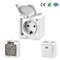Prise murale extérieure en laiton de haute qualité CE RoHS ISO IP54 étanche, type allemand, 16A 250V, avec mise à la terre