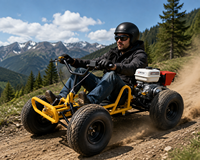 Kart tout-terrain pour adultes avec moteur puissant de 212 cm3, transmission intégrale et système de suspension pour les courses en plein air