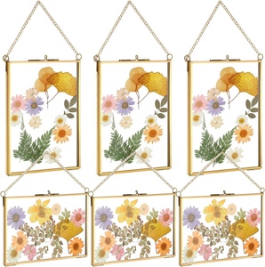 Bán Hot Vàng rõ ràng ngang và dọc ép Khung Hoa với chuỗi Brass đôi kính trong suốt nổi khung ảnh - Product Image 1