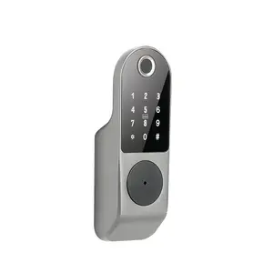 Wifi TTlock App Keyless Điện Rfid Thông Minh Kỹ Thuật Số Rim Khóa Cửa Chống Trộm Kiểm Soát Truy Cập Thông Minh