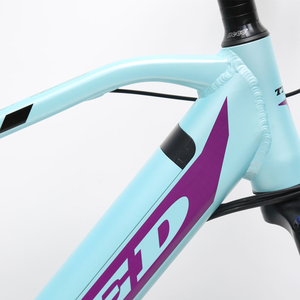 Vélo électrique électrique de ville 29 "cadre en alliage d'aluminium batterie au lithium moteur sans balais électronique 250W - Product Image 3