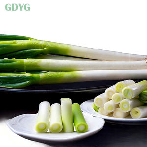 <span class=keywords><strong>Cebolla</strong></span> de Primavera <span class=keywords><strong>Congelada</strong></span> IQF, Calidad de Mercado Fresco de China, Pura y Natural, Suministro al por Mayor para Importadores y Compradores - Product Image 4