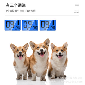 Collier de dressage électrique rechargeable pour chiens, portée 1000m, avec télécommande, anti-aboiement, fournitures pour animaux de compagnie - Product Image 4