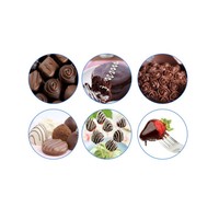 Nouvel arrivage de machine à enrober le chocolat multifonction pour la crème glacée pour le revêtement des biscuits
