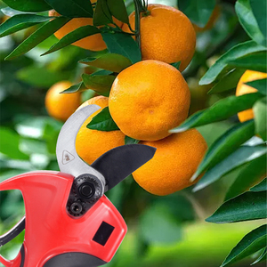<strong>Long</strong> <strong>Handle</strong> Electric Battery Scissors Pruning <strong>Secateurs</strong> &amp; Scissors - Product Image 6