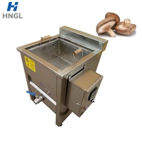 Friteuse industrielle durable en acier inoxydable pour pattes de poulet et boulettes de viande