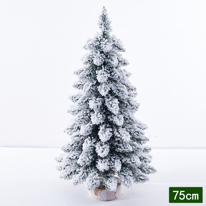 75cm