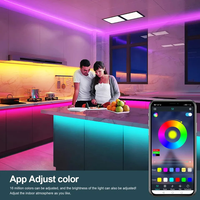 Contrôleur RGBW sans fil 24 touches WiFi BT Music Double Load Smart Color Dimmer APP Voice Timing Music RF Remote Control