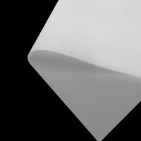 Film de papier PET DTF OCB A4 en gros pour imprimantes A3 L1800 L805 4720 I3200