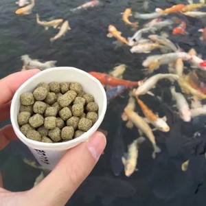 Petite nouvelle machine de fabrication d'aliments flottants pour poissons et chats, équipement de production d'aliments pour poissons extrudeuse - Product Image 3