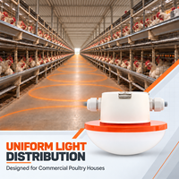 Système d'éclairage LED pour poulaillers commerciaux, étanche IP67, sans scintillement, intensité variable, pour élevages de poulets de chair, pondeuses et reproducteurs