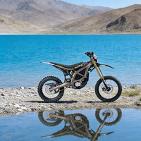 Meilleur Prix 2026 74V 24.5kW 95km/h Desert Mountain Racing Chargeur Rapide 2026 Ultra Bee