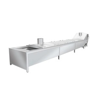 Industriële Voedselverwerkende Apparatuur/Fruit Blancheren Machine/Banaan Blancheren Machine