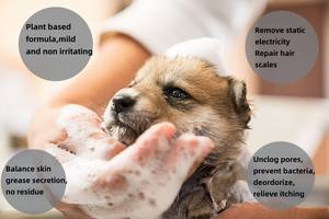 Champú Saludable en Hojas para <span class=keywords><strong>Perros</strong></span> y Gatos, Jabón Herbal en Hojas, Venta al por Mayor OEM/ODM - Product Image 3