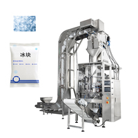Machine de remplissage verticale de sacs de glace à haut rendement et à économie d'énergie pour la production de blocs de glace et l'emballage de glace granulaire