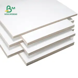 A0 A1 Size 230g 280g White Clay Coated Ivory board Duplex Paper For packaging box