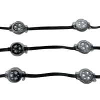 Modul LED RGB Addressable WS2818 20 Piksel/String 30mm 12V IP68 dengan Penutup Transparan Pipih, Kabel Hitam, 0.72W/Piksel, Jarak Antar Piksel 10cm-30cm