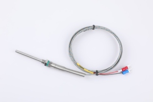 제조사 직판 맞춤형 CA-WRNT-187 열전대 저항 고온 저항 프로브 - Product Image 2