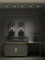 Vitrine de luxe pour bijoux fins avec cadre en fer, verre haute transparence et éclairage LED pour magasins de détail et centres commerciaux