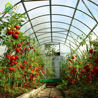 Kit Complet Professionnel de Serre Tunnel en Plastique pour Cultures de Tomates avec Système d'Irrigation