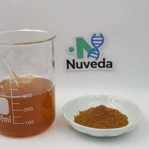 Пищевой травяной экстракт корня донгге Али порошок 10:1 20:1 органический экстракт тонгката Али порошок - Product Image 4