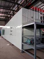 Ligne de production automatique de plateaux à œufs en métal pour séchage au four