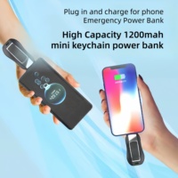 1200mah 2 in 1 Mini Schlüssel bund Power Bank Notfall Telefon Ladegerät Typ C Camping Outdoor Schlüssel bund Power Bank für iPhone