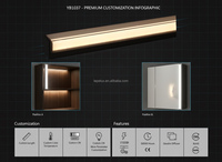 Luz LED Lineal de Superficie para Gabinete de Baño, Iluminación de Estante Trasero y Efecto de Estante Flotante, 12V, Pantalla de Plástico YB1037-22