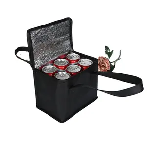 China Beach Whole Food Box Mittagessen Weinsp ender Trolley Picknick rad Gekühlte Kühltasche