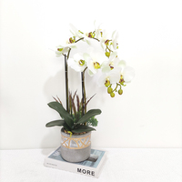 Bunga Sutra Sentuh Asli Pot Set Tanaman Anggrek Sentuhan Asli Terbaru Disesuaikan Anggrek Phalaenopsis untuk Dekorasi Rumah