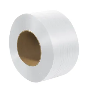 Imballaggio in plastica a più colori cinghia cinturino Roll PP cinturino per imballaggio eccellente resistenza alla trazione