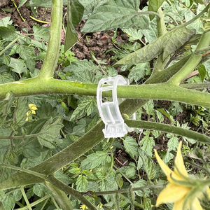 Clip de fixation de plantes Clip de croissance Dispositif suspendu Greffage Tomate <span class=keywords><strong>Vigne</strong></span> Concombre <span class=keywords><strong>Vigne</strong></span> Clip de fixation - Product Image 4