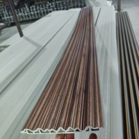 Eco Friendly WPC Wall Panel Composite Timber Veneer Wall Covering