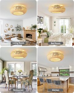 Ventilateur de plafond silencieux E27 de 22 pouces avec 7 pales en ABS, <span class=keywords><strong>abat</strong></span>-<span class=keywords><strong>jour</strong></span> en osier, éclairage et télécommande – En stock aux États-Unis - Product Image 6
