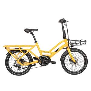 Bicicletta Elettrica per Consegne Fast Food ODM/OEM, Trasporta Due Bambini, <span class=keywords><strong>Bici</strong></span> da Città, E-Bike Urbana con Sedile - Product Image 1